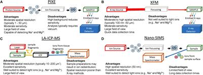 A Review of ex vivo Elemental Mapping Methods to Directly Image Changes in the Homeostasis of Diffusible Ions (Na+, K+, Mg2 +, Ca2 +, Cl–) Within Brain Tissue